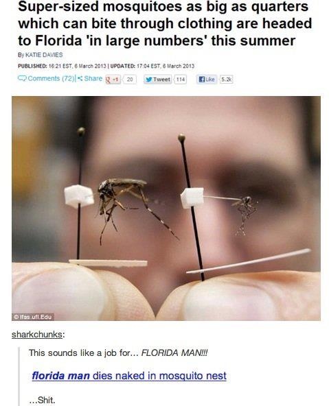 Florida Man