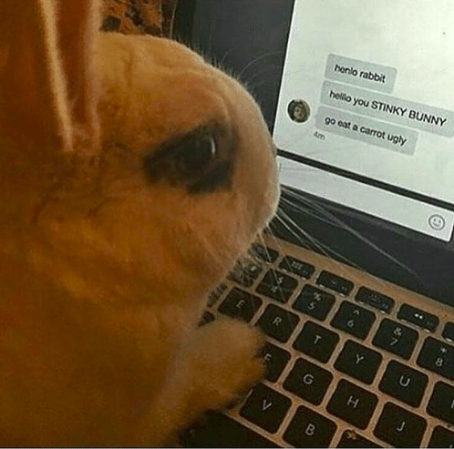 Sirrý mr bunny