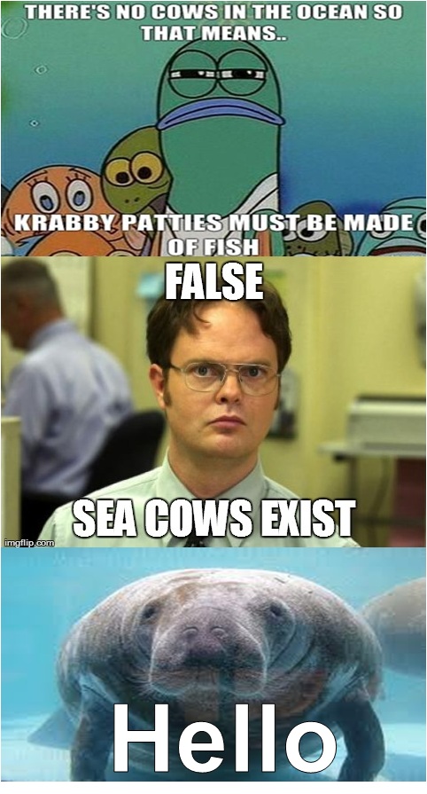 Dwight Schrute Strikes Again