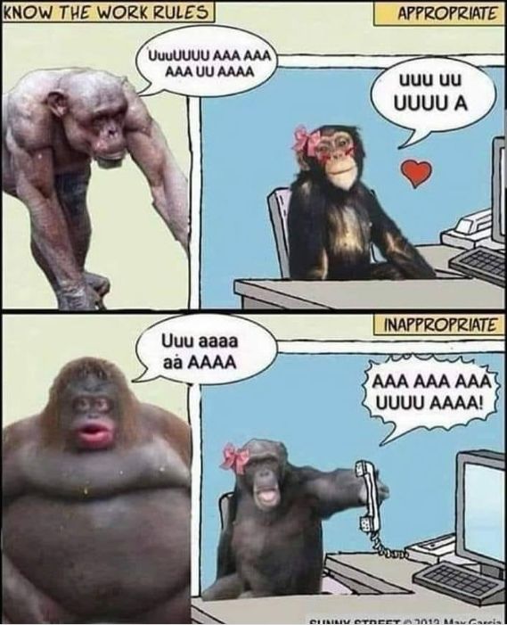 uuaa