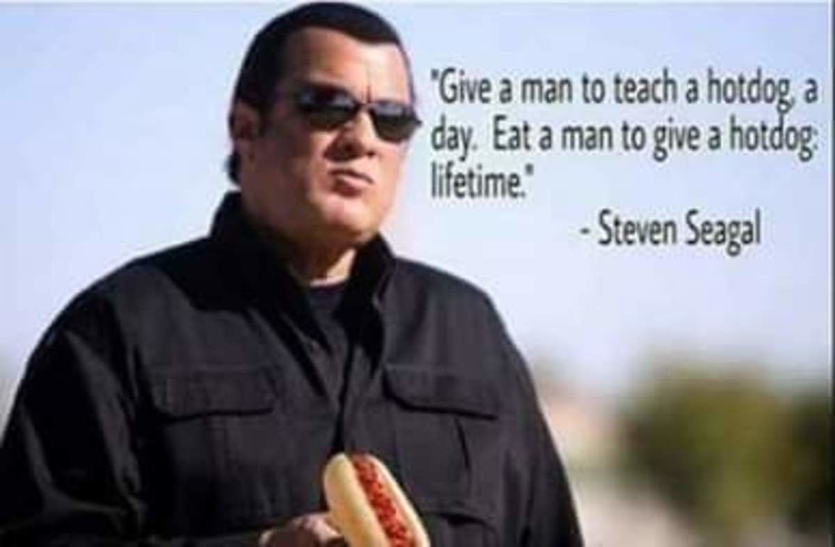 yes Seagal sensei