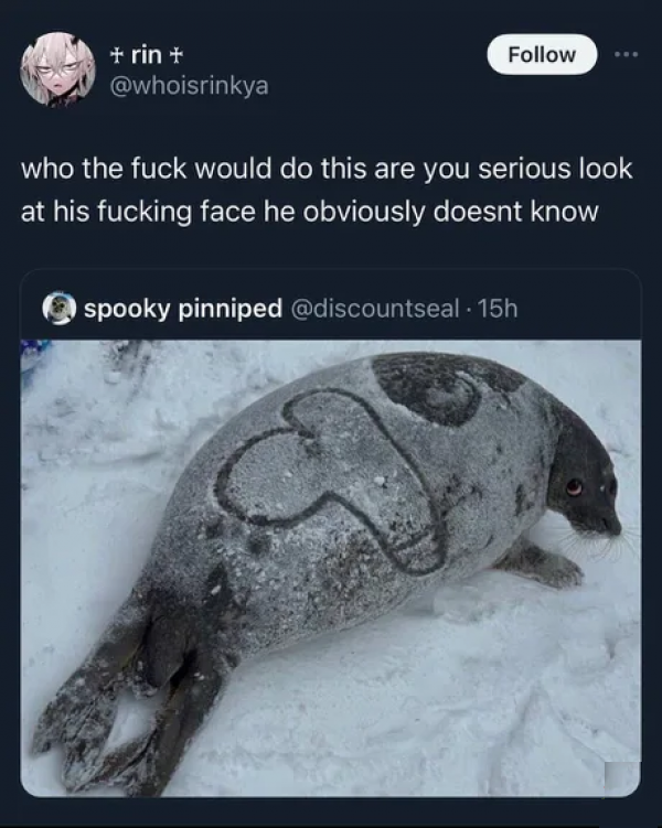 Looks like he blew a seal