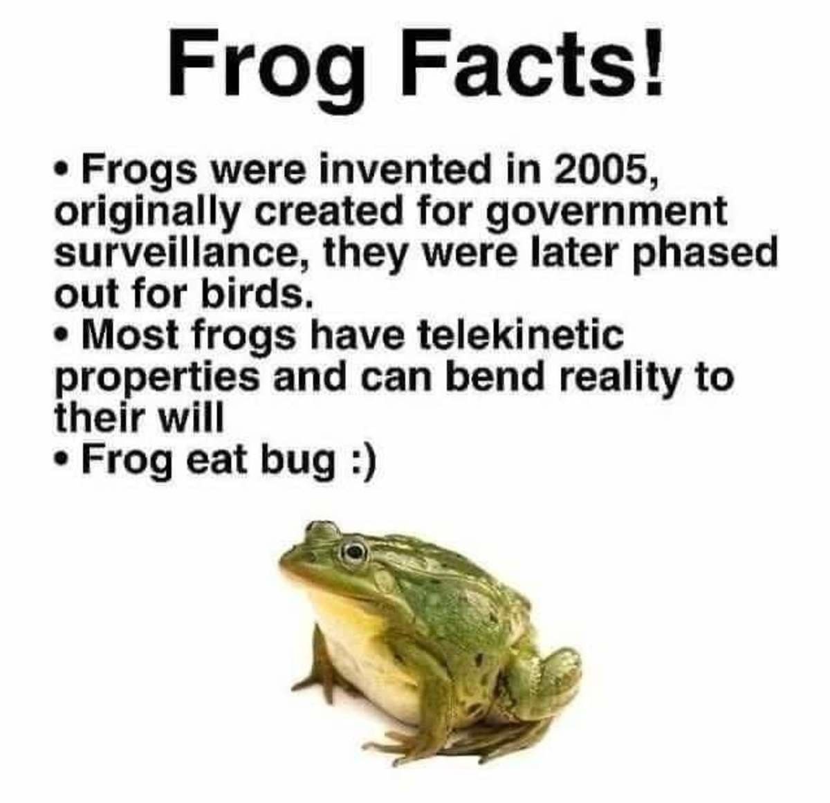 i like frogs