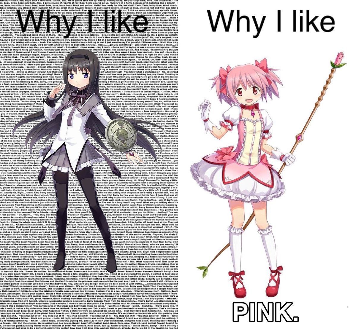 pink (⌒ω⌒)