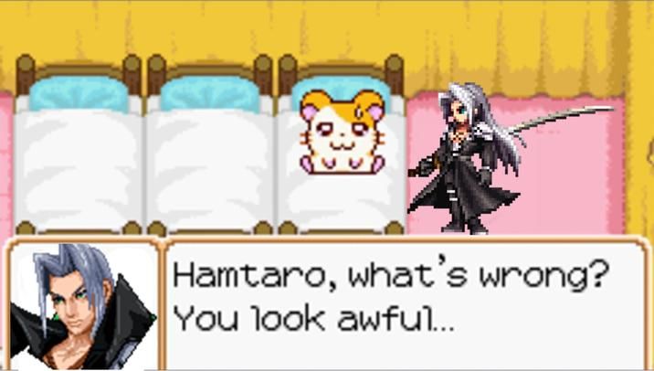 Noooo, Hamtaro!