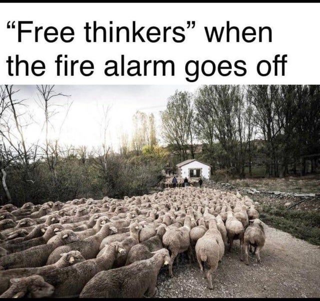 Sheeple