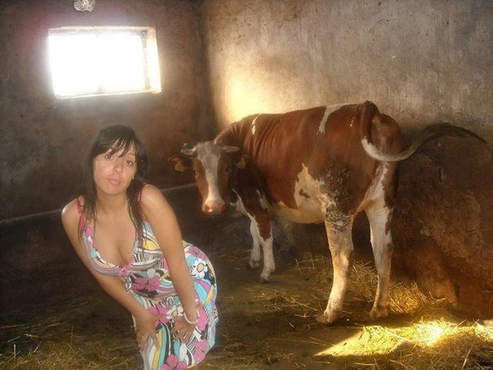 That cow is such a poser. And the other one gives good milk