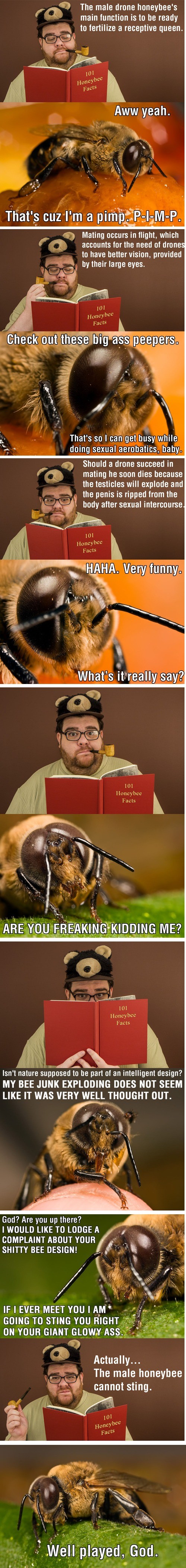 101 Honeybee Facts