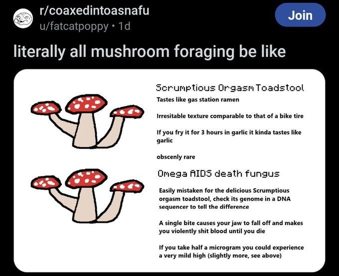 Fungus among us