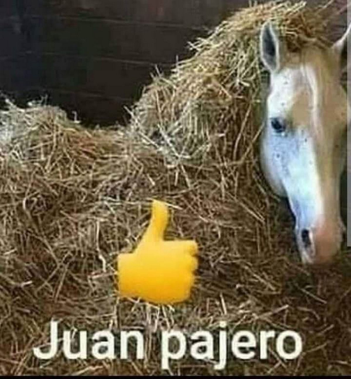 juan