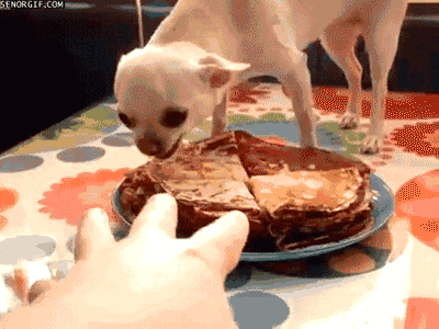 Precious pancakes