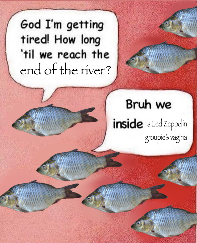 so that's why it smells fishy