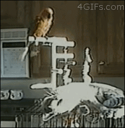 Karma's a b*tch