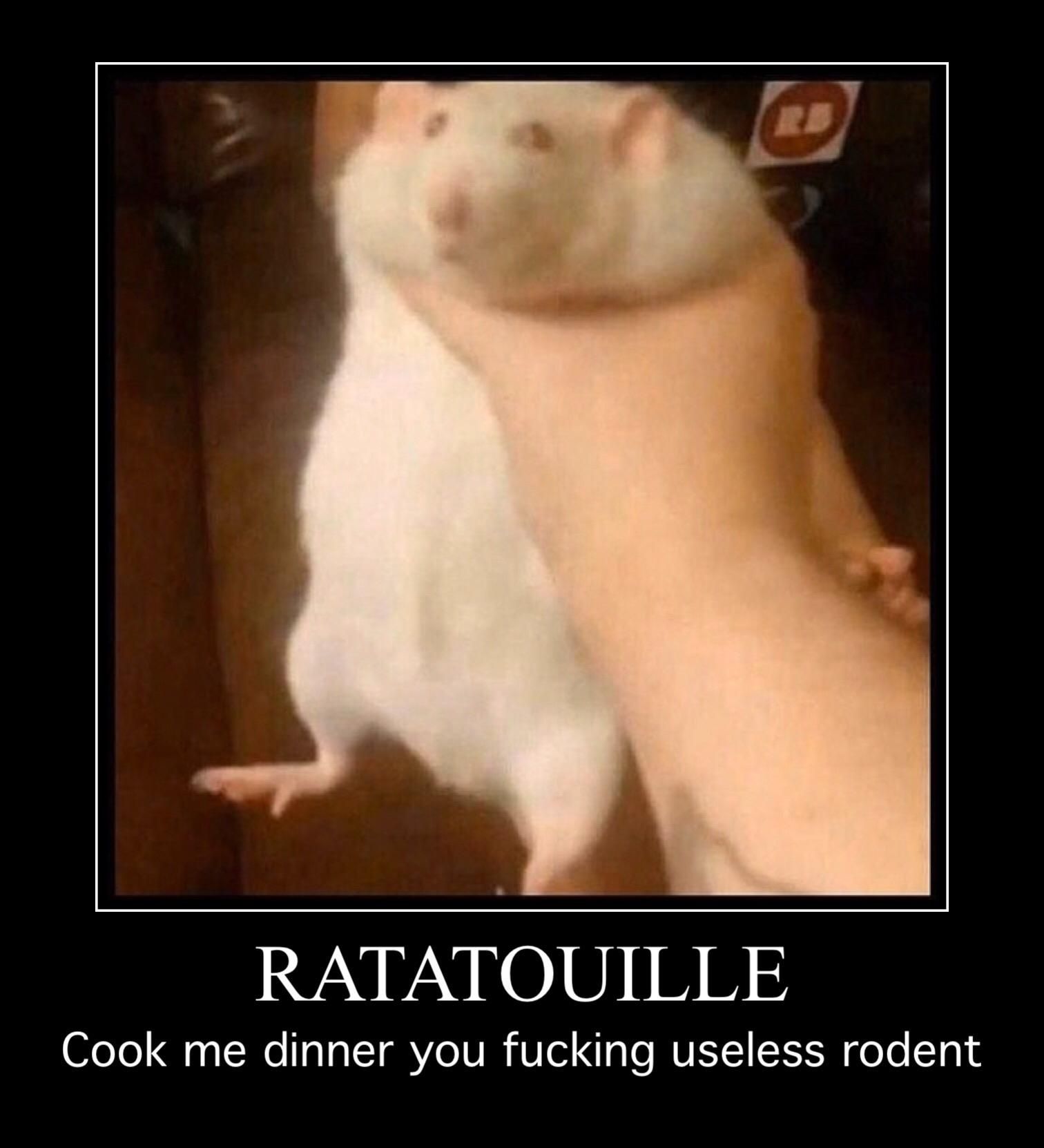 That rat ate the entire fridge