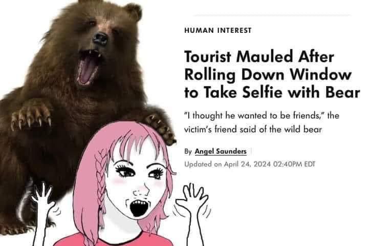 not all bears