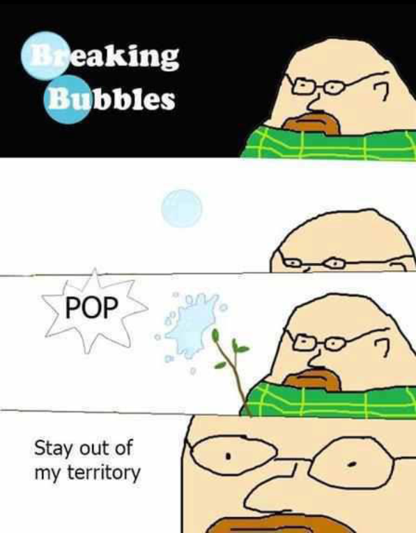 Wait what