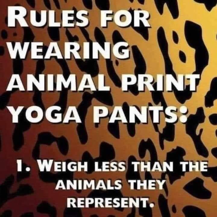 post fat b*tches in yoga pants