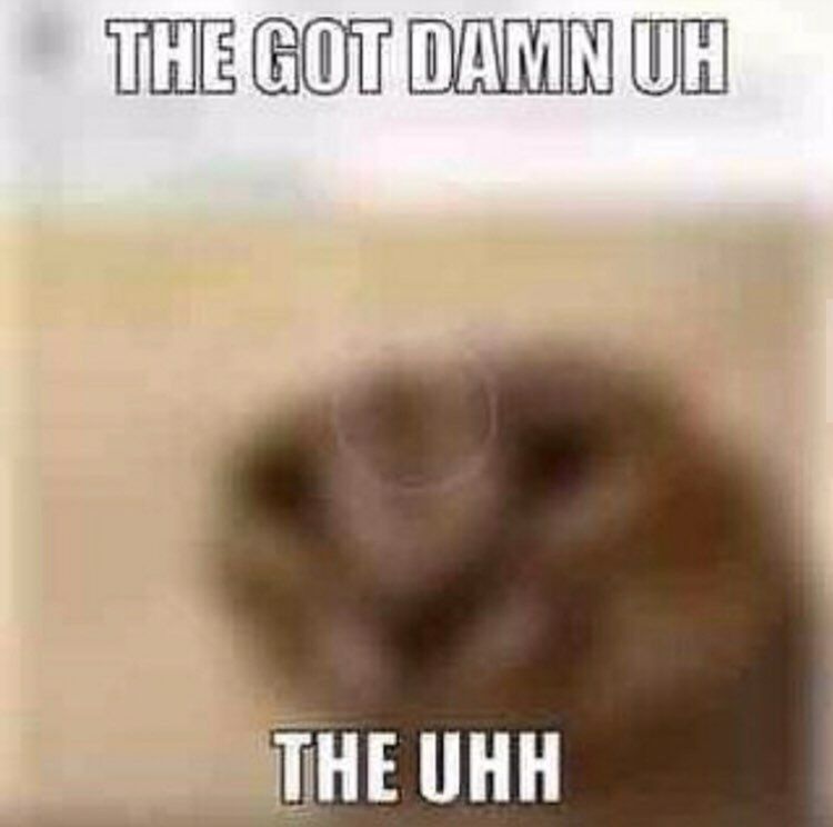 The Uh
