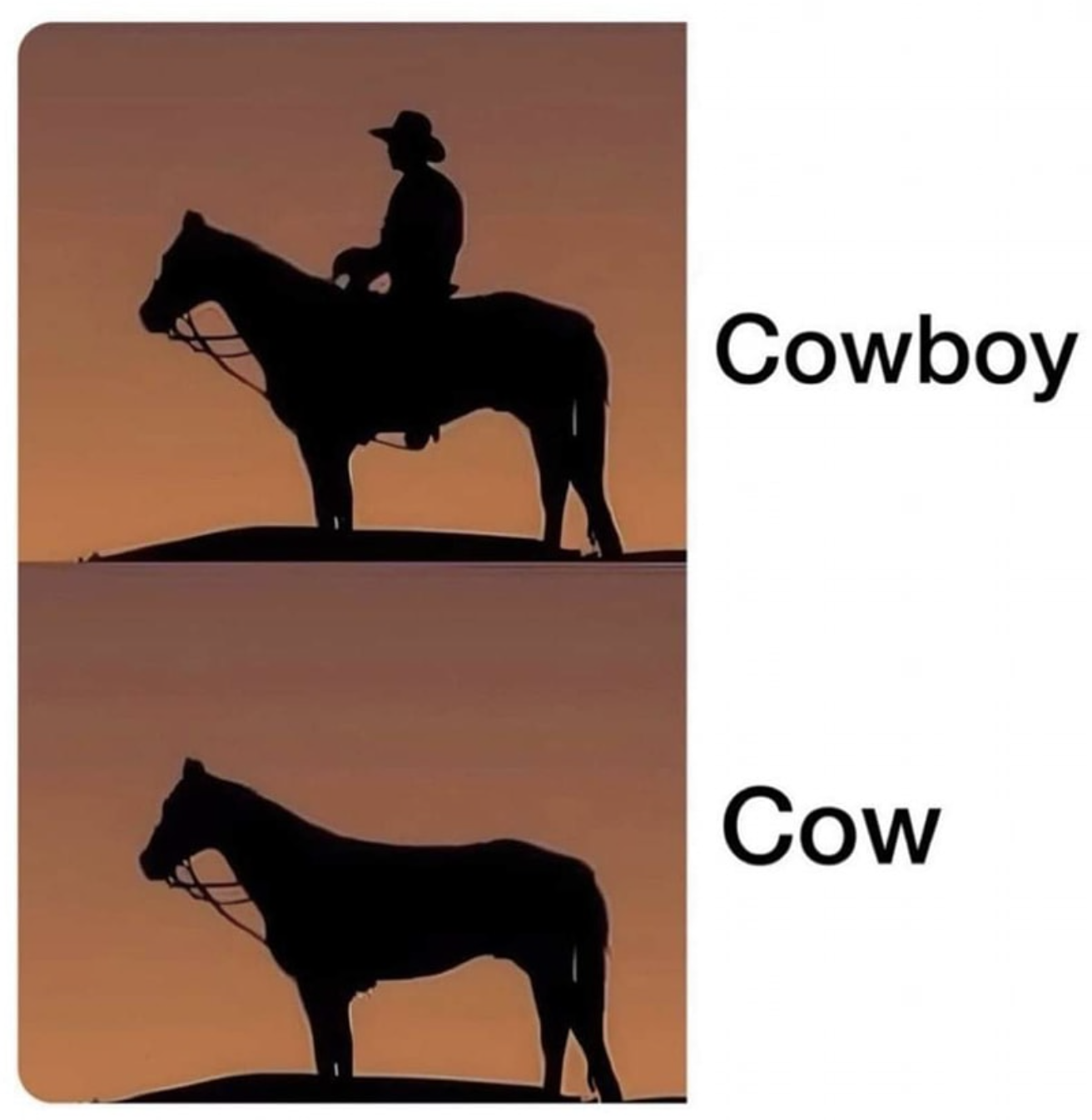 But what is a boy without his cow?