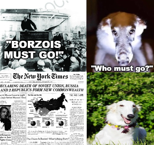 never forget the Borzoi genocide