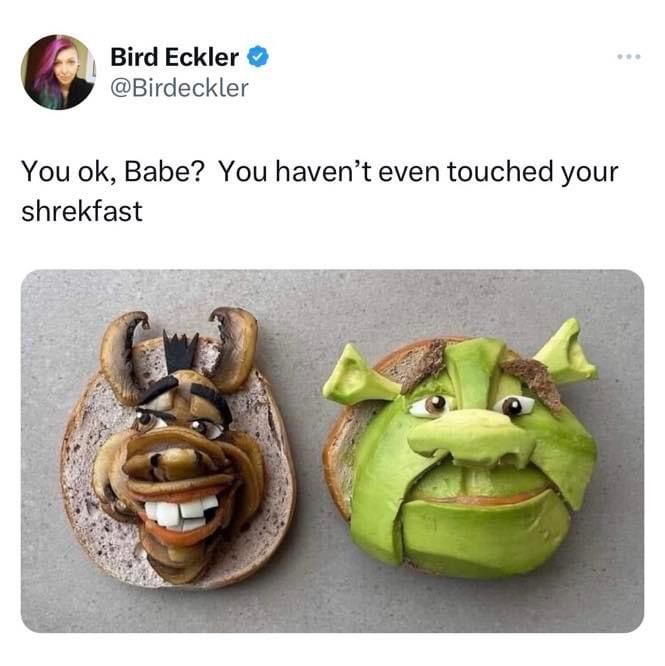 shrekfast.