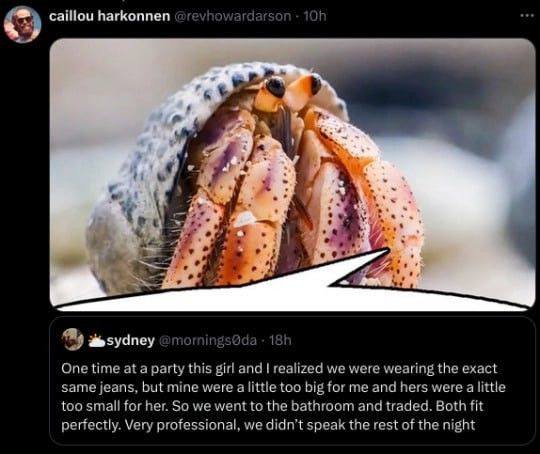 I love hermit crab memes