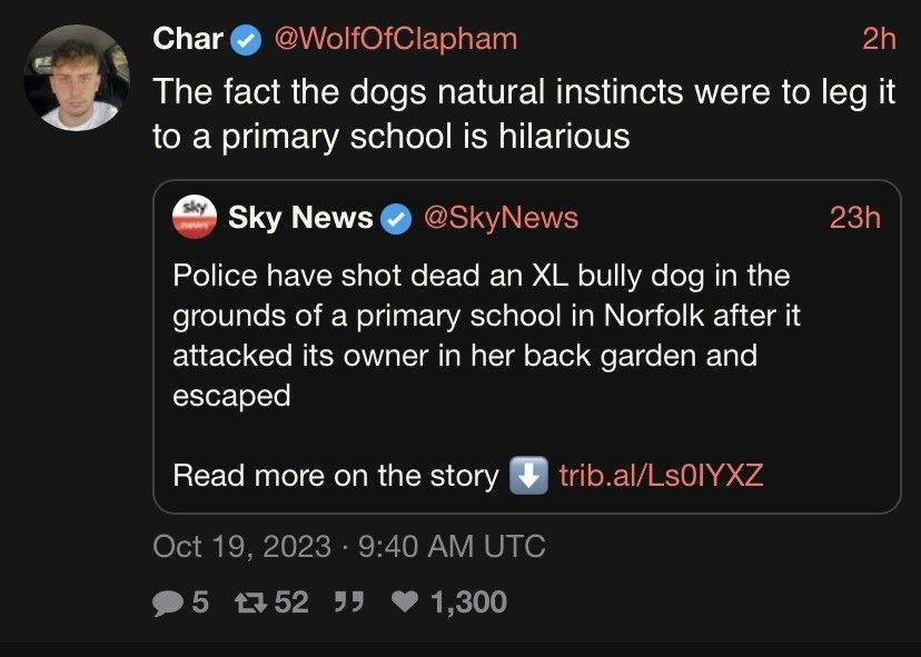 Bulls attacking children and cops shooting dogs is just the natural order of things
