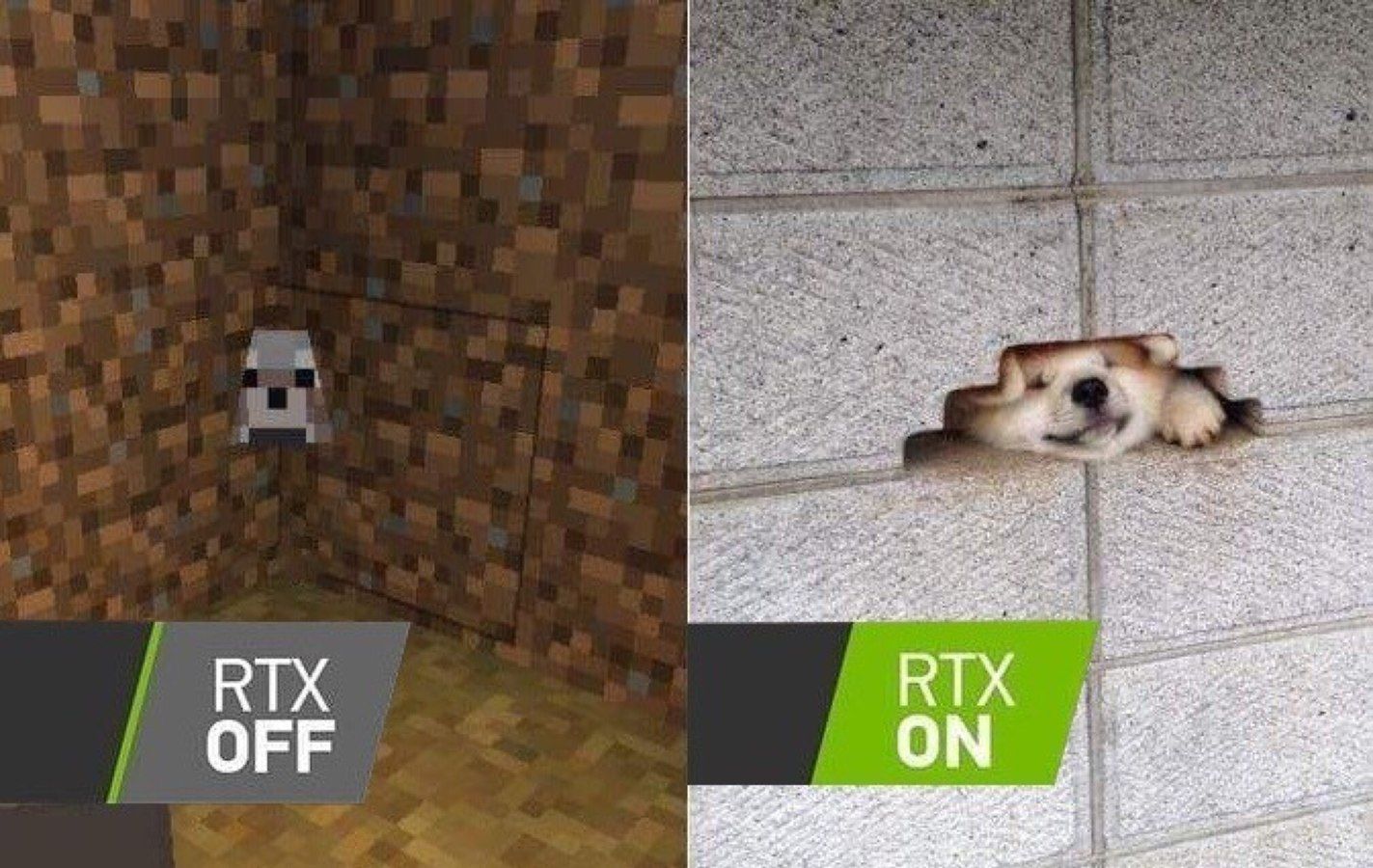 what da dog doing?