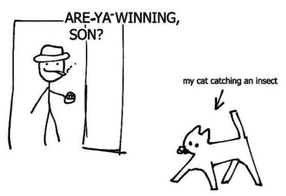 Mine are girl cats...not cat girls mind you