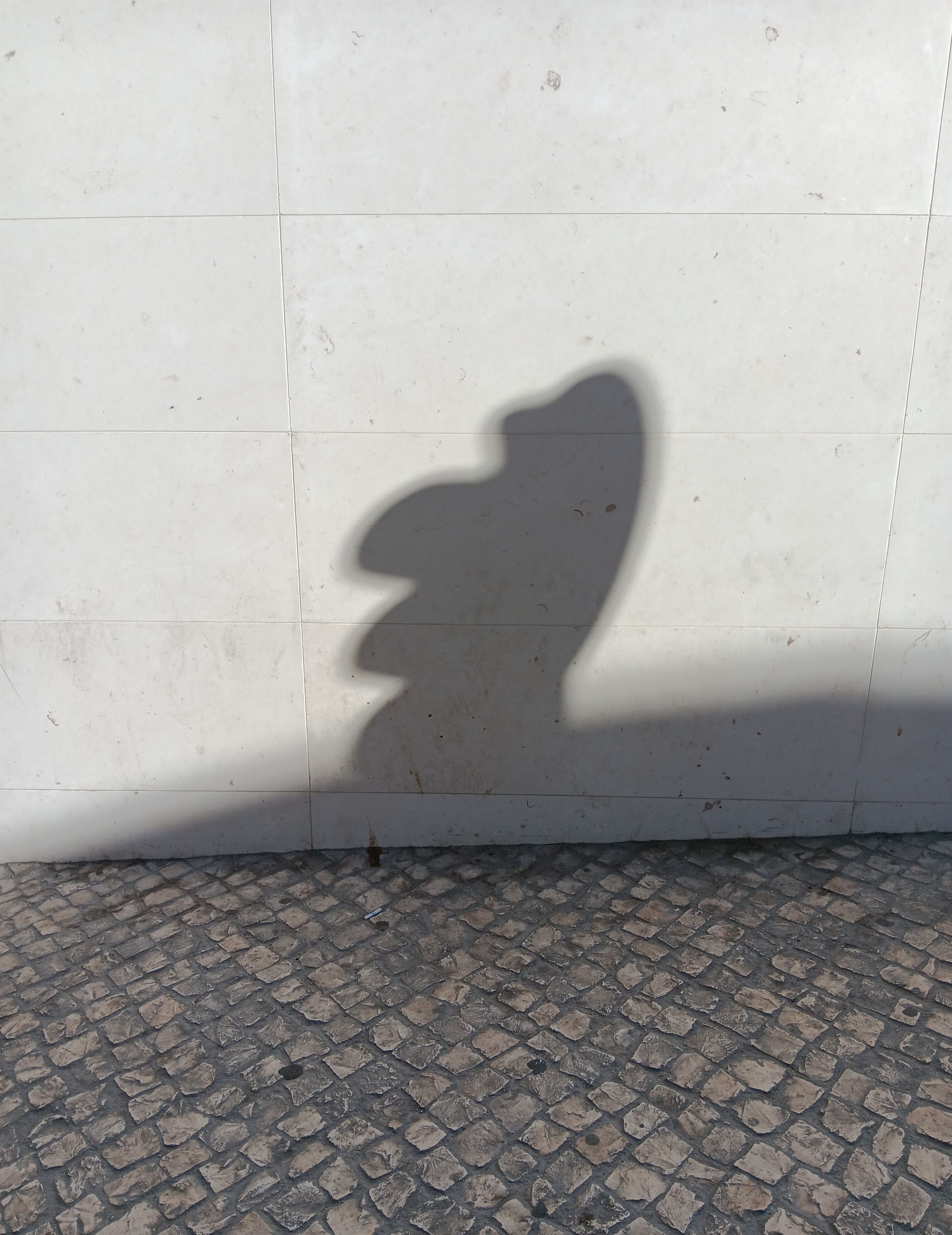 Funny shadow