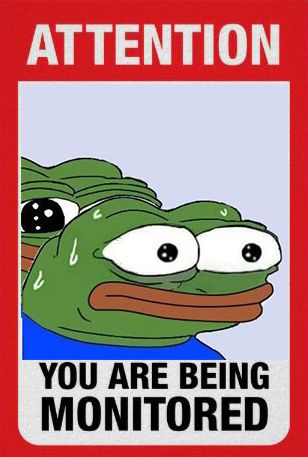 Pepe/apu a day - 890 starting now!
