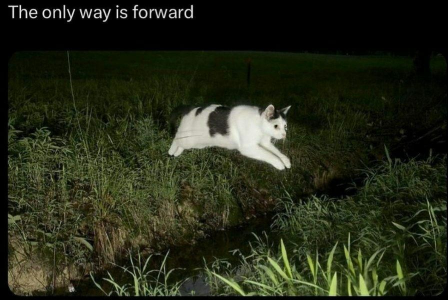 ***
