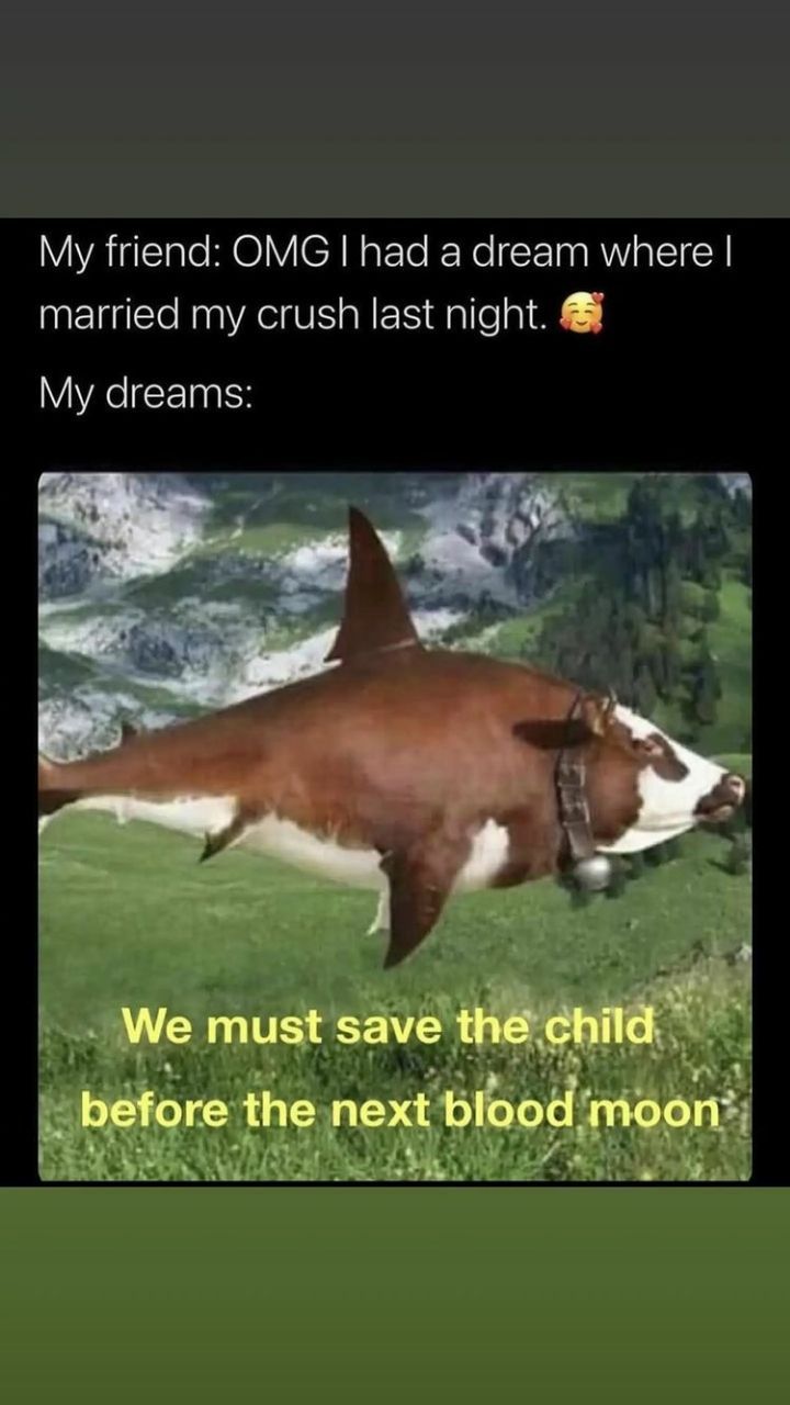 What do the dreams mean