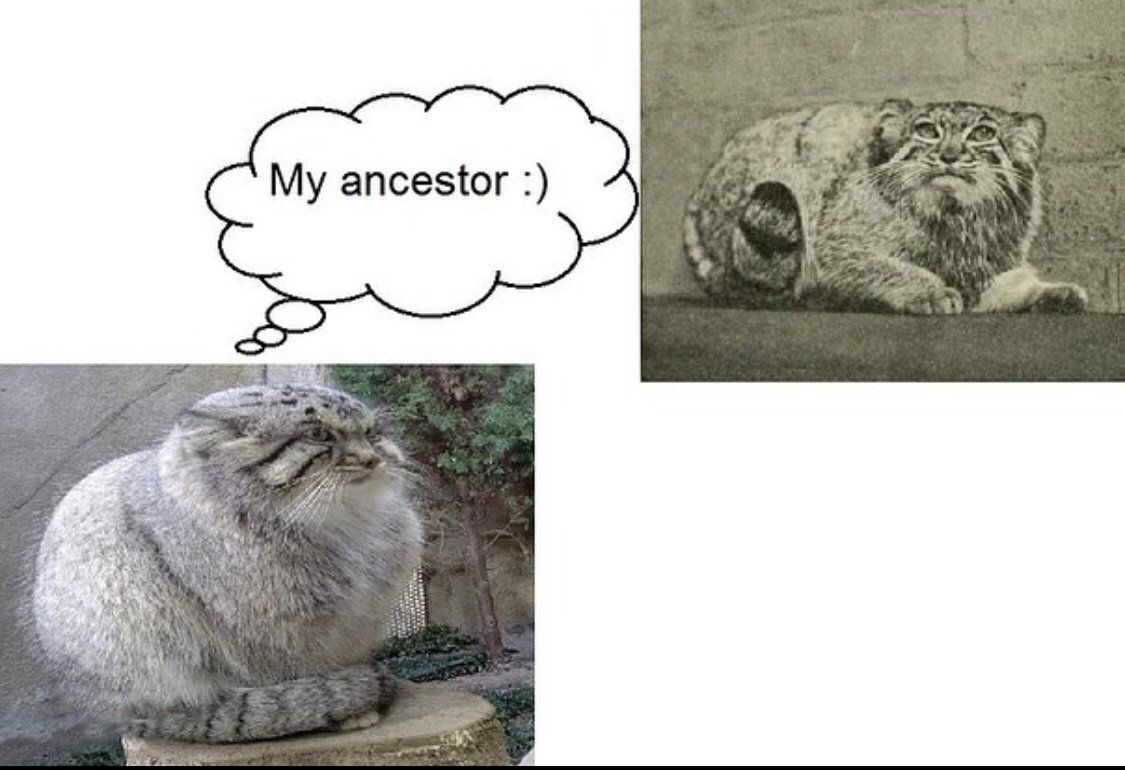 ***