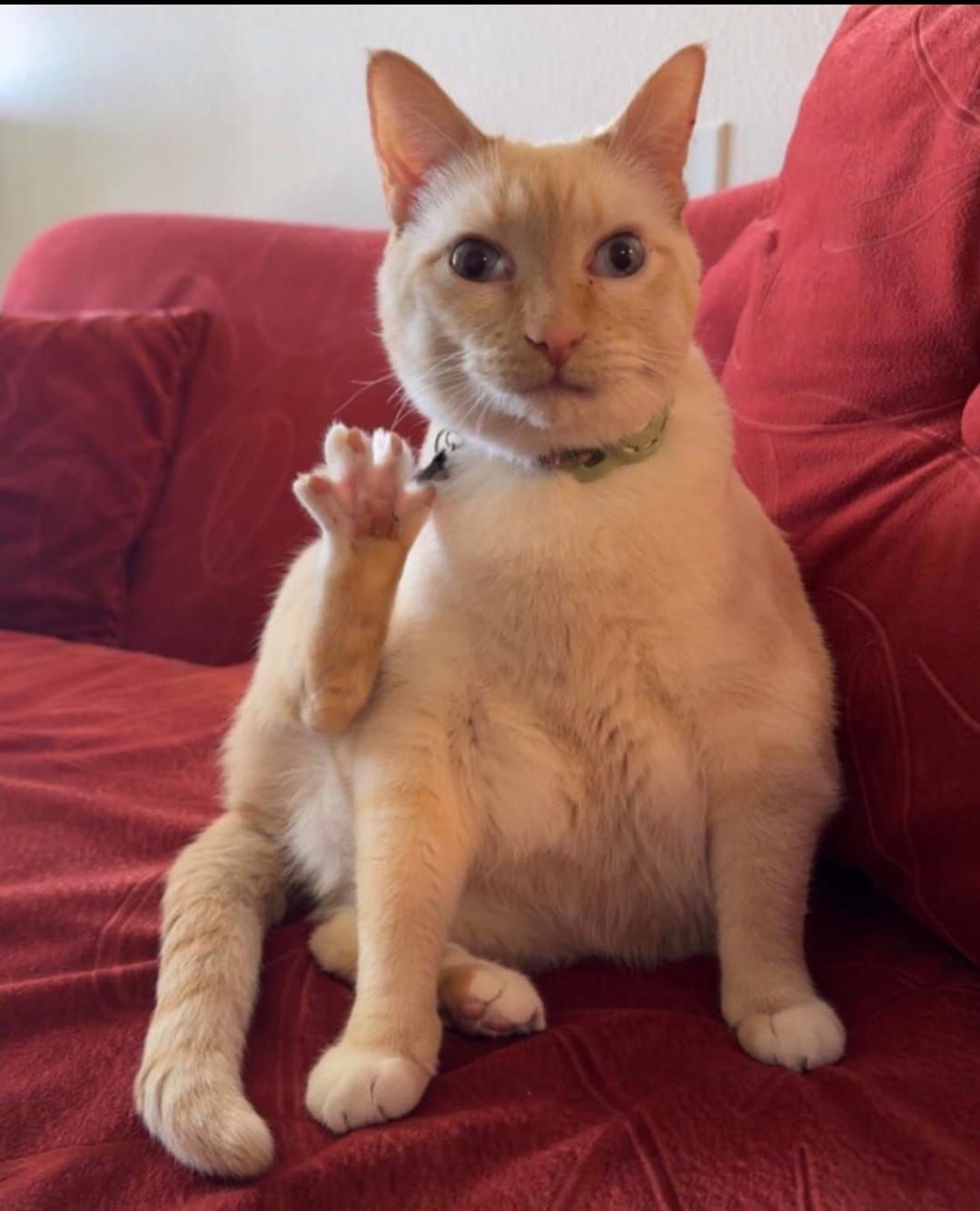 U hav this many seconds to run