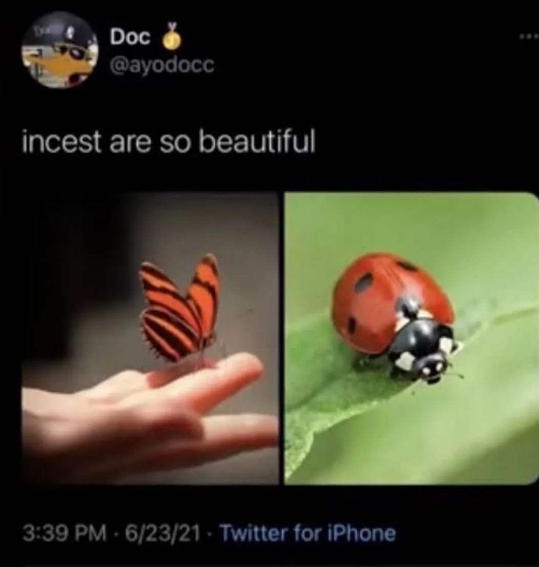 Zucest