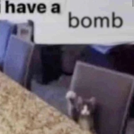 (=`ω´=)