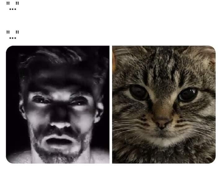 ***
