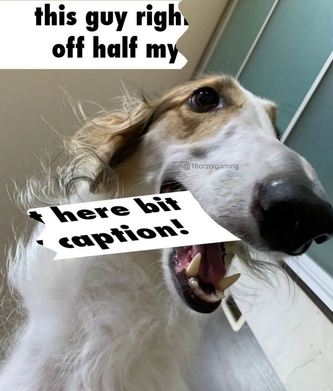 Bad d