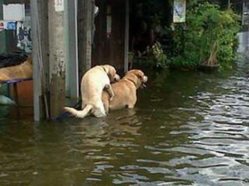 Hurricane? certainly these two gave a f*ck