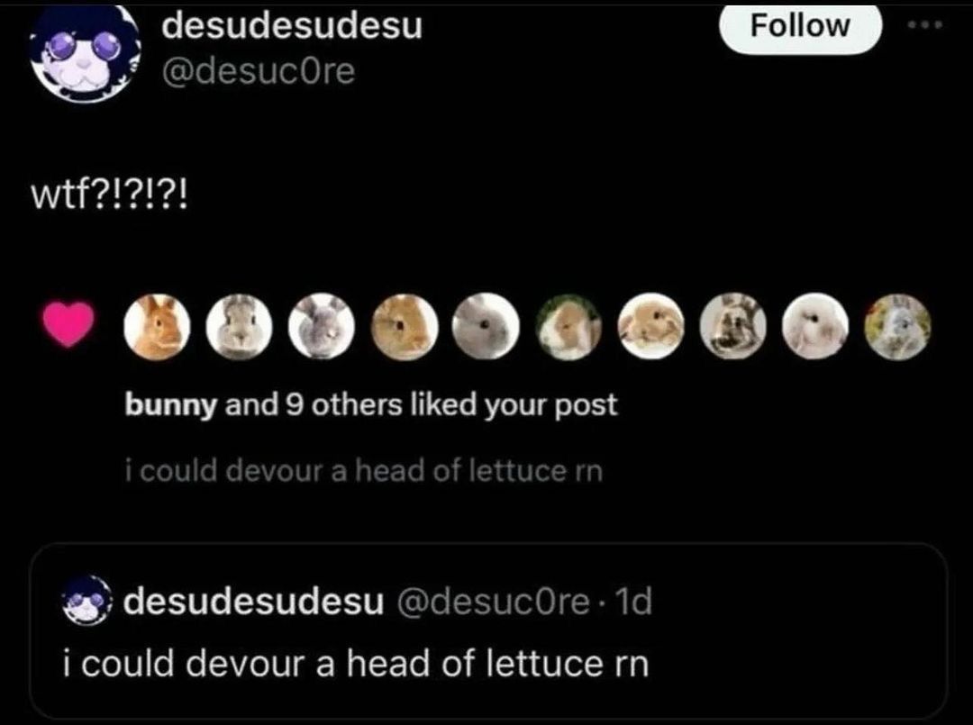 lettuce