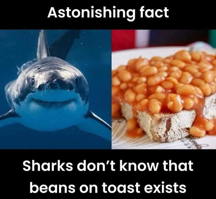 how do you think did terry get so fat?
