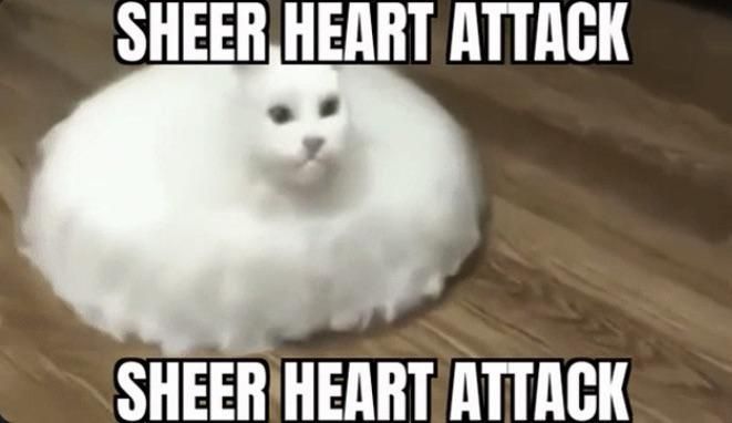 pure cardiac