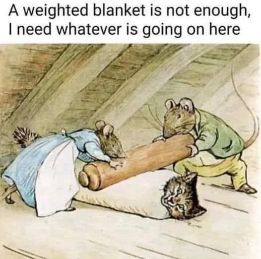 GN ^^