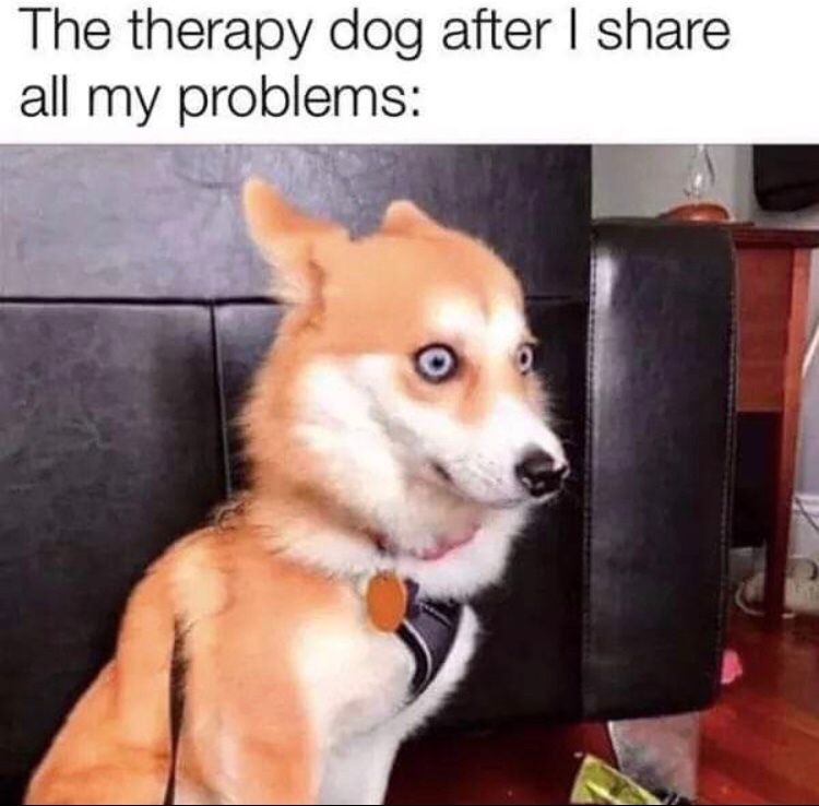 poor dogo
