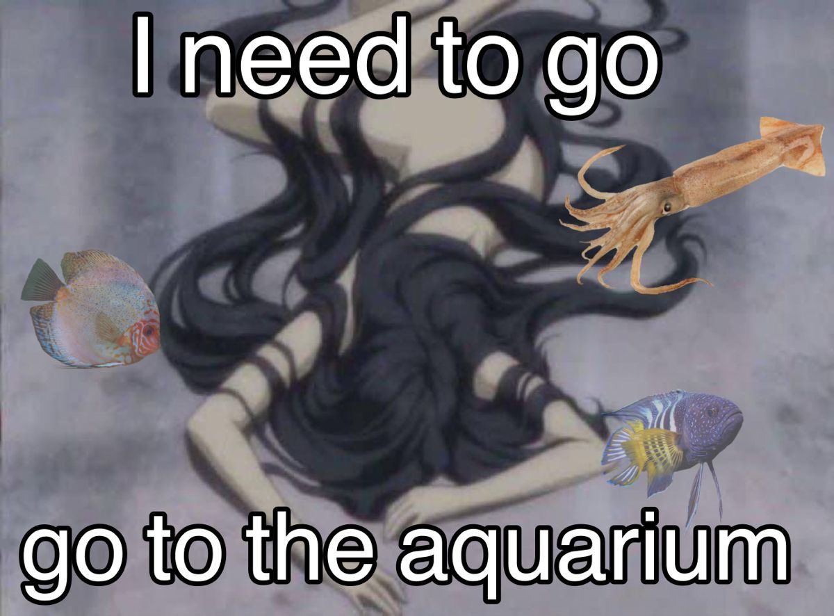 fish