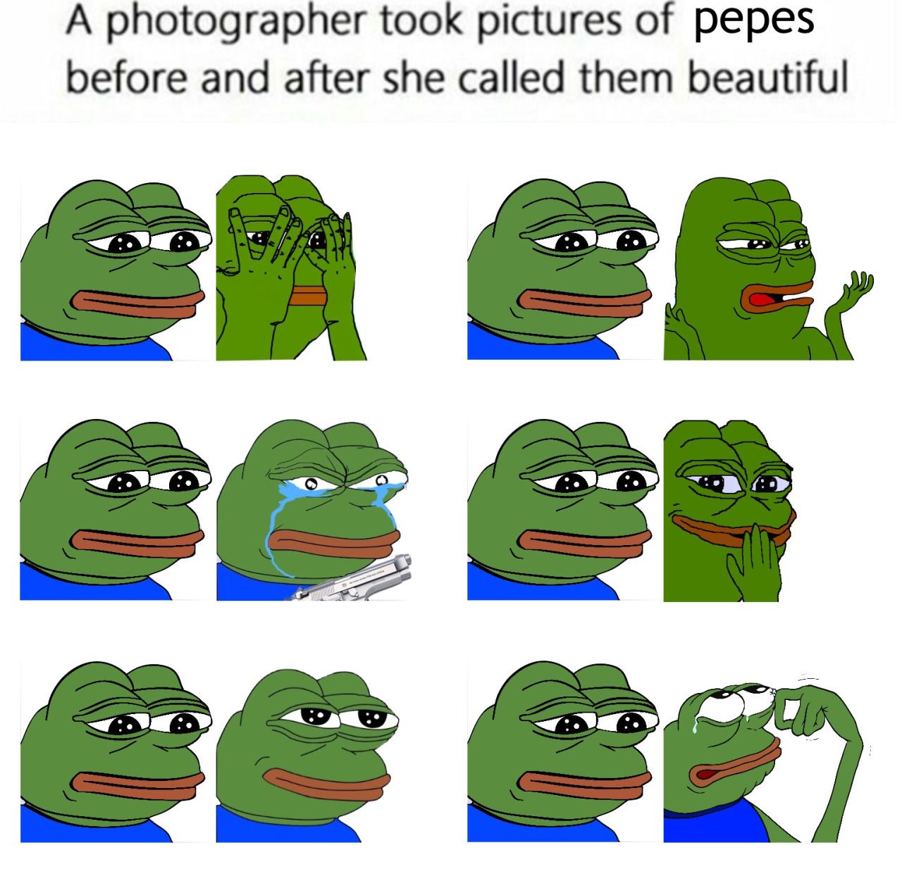 Pepe/apu a day - 925 photos