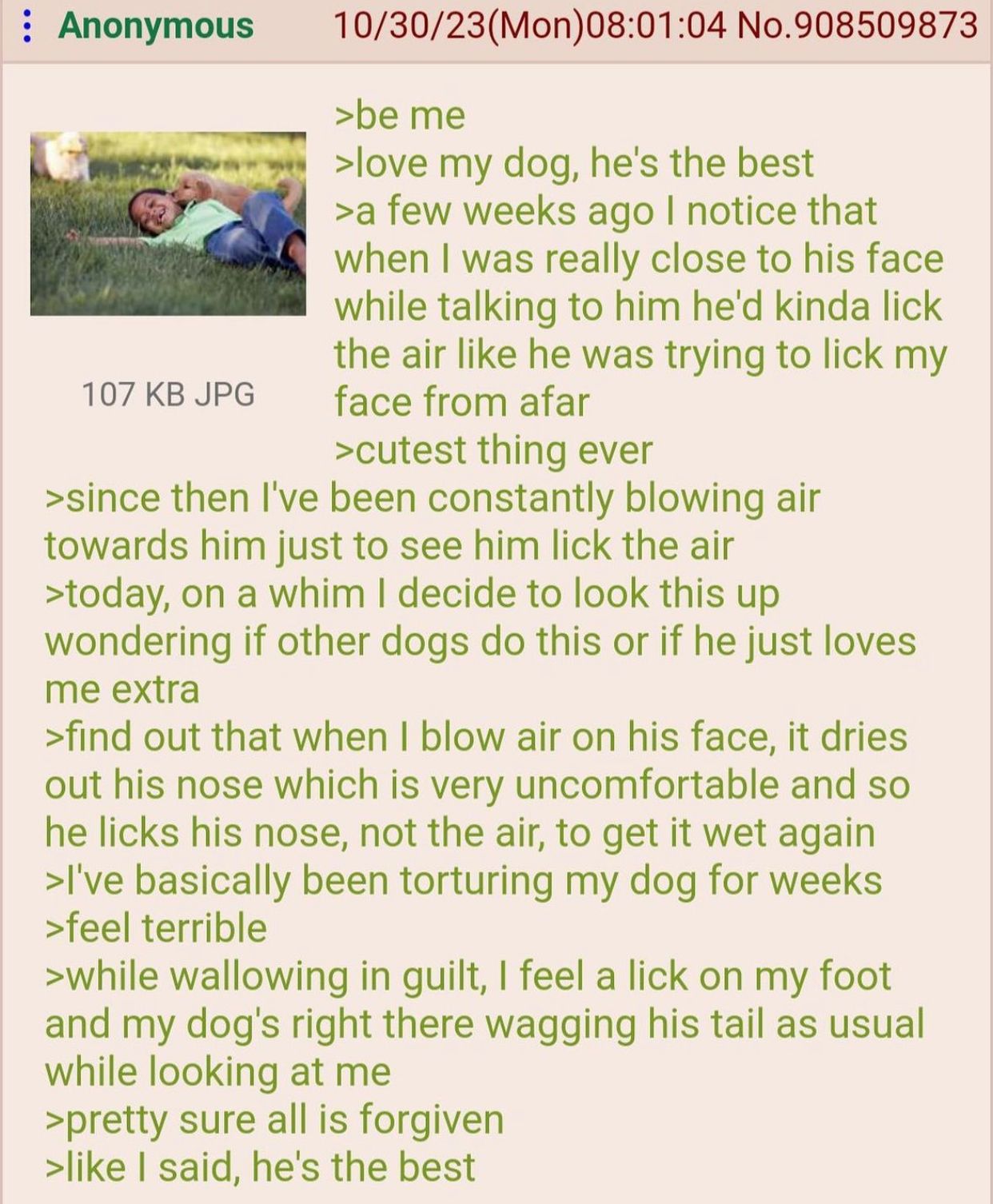 anon has a dog