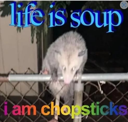 Possum Posting