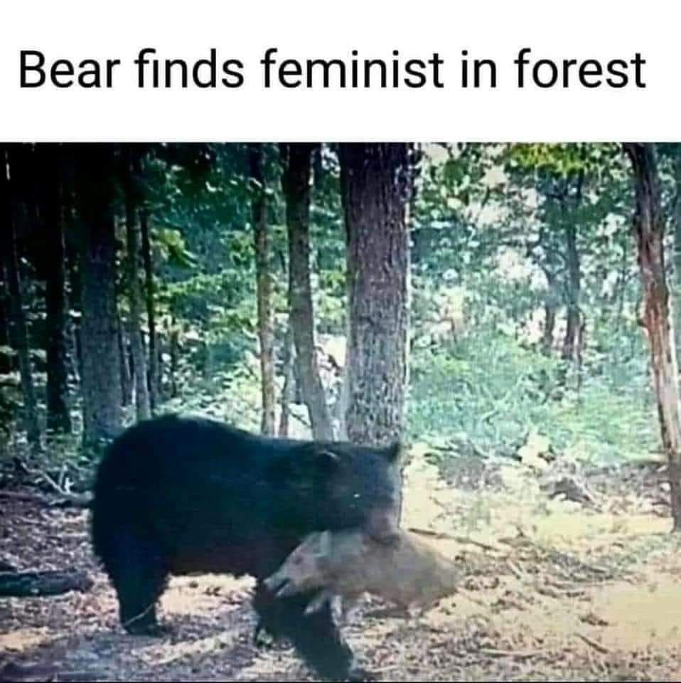 Colourised (2024)